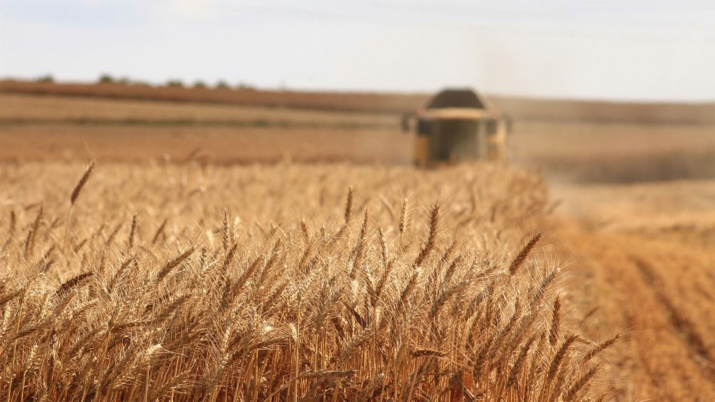 Can technology help Southeast Asia’s farmers tackle climate change?