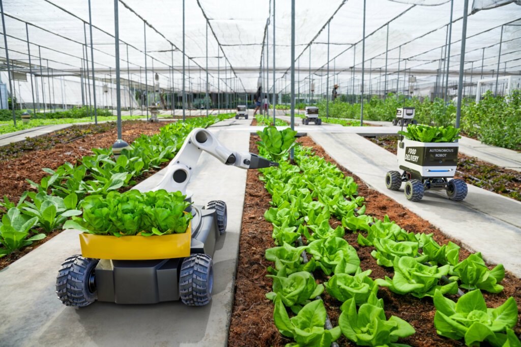 Embracing photovoltaics as the modern agriculture technology that will revolutionize farming.